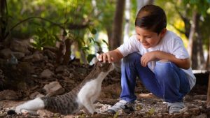 Animals & Child Development